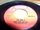 BOBBY JAMES-YOU SAID IT/HOT SAUCE-RARE SMASH 7