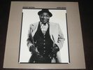 Muddy Waters rare '77 UK 1st press LP Hard Again on Blue Sky mint- CHICAGO BLUES