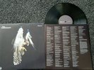 The Courteeners Falcon 12