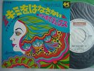 THE AMBOY DUKES BABY PLEASE DON'T GO / 7INCH