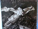 DAVID SYLVIAN/HOLGER TZUKAY LP PLIGHT AND PREMONITION 1988 EUROPE VG++/VG++