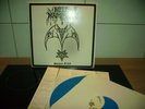 lp ungespielt hellhammer satanic rites colour vinyl