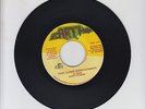 EARTH/ TROD ALONG ( ZION PATHWAY) -  RICKY STORME (I KONG) (82 REGGAE ROOTS 7