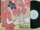 Various - Echoes From the Wilderness (Paranoid Records)