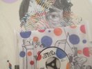 Animal Collective  Painting With Panda Bear Delux LP & 7