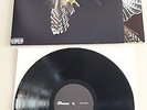 THE COURTEENERS - FALCON  ( VINYL ALBUM )