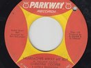 CHRISTINE COOPER Heartaches Away My Boy 45 Parkway northern soul original  HEAR
