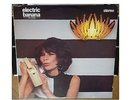Electric Banana (The Pretty Things) “The Sixties“ Butt Records NOTT 003 UK 1980