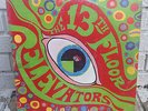 THE PSYCHEDELIC SOUNDS OF THE 13TH FLOOR ELEVATORS IA-LP-1 GARAGE PSYCH 1966