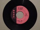SOUL, INC. The Leaves Of Grass / Midnight Hour RARE 1966 KENTUCKY GARAGE 45 BOSS
