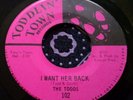 Chicago Garage Punk Fuzz Pebbles Stomper 45 The Todds I Want Her Back NM HEAR