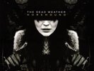 The Dead Weather ?– Horehound SEALED Third Man 2xLP VINYL