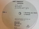 Skell Icebergs: Hunting You Down SEALED 12