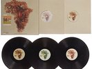 VARIOUS - Africa 50 Years Of Music: Deeply Roots & Modern Style - Vinyl (5xLP)