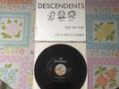 The Descendents Ride The Wild It's A Hectic World 7