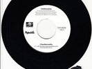 CHUMBAWAMBA  Tubthumping 7