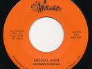 HERMAN GEORGE Mental High / What Have You Got BET Indiana Sweet Soul 45 Hear