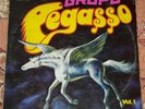 GRUPO PEGASSO 