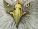 Hotel California In Concert  EAGLES Vinyl Record
