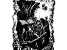 Black Witchery - Evil Shall Prevail ++ 2-LP ++ NEU