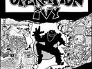 Energy - Operation Ivy (Vinyl Used Very Good)