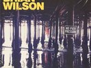 No Pier Pressure  BRIAN WILSON Vinyl Record