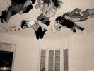 Fleetwood Mac Alternate Tusk RSD 2016 12