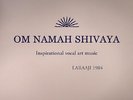 Laraaji Om Namah Shivaya LP vinyl record sealed new age alice coltrane