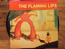 Flaming Lips Yoshimi Battles The Pink Robots - 12
