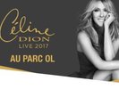 2 Places Concert Céline Dion Lyon - 12 Juillet 2017 - CATEGORIE 1