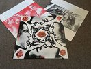 RED HOT CHILLI PEPPERS - BLOOD SUGAR SEX MAGIK - 1991 DOUBLE LP WITH INNERS