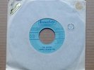 The Barons I Hope I Please You rare 1966 US Texas garage Brownfield label 45