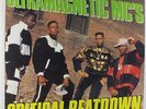 Ultramagnetic MC's - Critical Beatdown LP - Next Plateau PROMO