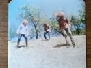 Fuzz - Sunderberry 7