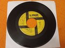 THE E-TYPES I can't do it LINK 45 CALIFORNIA MOODY GARAGE JANGLE HEAR