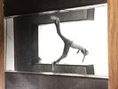 The Ecstatic * [LP] by Mos Def (Vinyl, Jun-2009, Downtown Records)