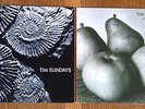 The Sundays - Reading Writing and Arithmetic 1990 Vinyl LP A1 / B1 + FREE 12