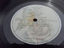 KATE BUSH NEVER FOREVER 1980 Press LP MINT PLAY TIME CAPSULE  LAMINATE SLEEVE