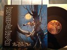 IRON MAIDEN - FEAR OF THE DARK 2 LP  Org1.Press EMI 1992