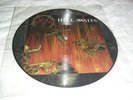 SLAYER -HELL AWAITS- VERY HARD TO FIND LTD EDITION LP PICTURE DISC ROADRUNNER