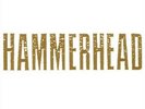 HAMMERHEAD Das weiß-goldene Album LP ( 2016 Headbert)