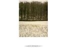 JOY DIVISION - Atmosphere - 1980 2 Track 12