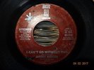 NORTHERN SOUL 70s ; DOROTHY MORRISON / I CAN'T GO WITHOUT YOU ( BROWN DOOR )