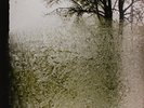 Bon Iver-For Emma Forever Ago  Vinyl / 12