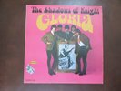 SHADOWS OF KNIGHT 1966 MONO LP 