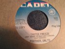 Poother Unltd Tastee Freeze garage psych fuzz northern soul   7