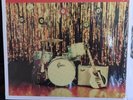 The 5.6.7.8's self titled Reissue Third Man Records split color LP rare limited