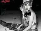 Lady Gaga - Born This Way - The Remixes Vinyl 2LP NEU Remix