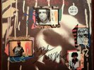 Ziggy Marley Autograph Vinyl Record