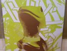 Boris - Amplifier Worship [2 x Vinyl LP]